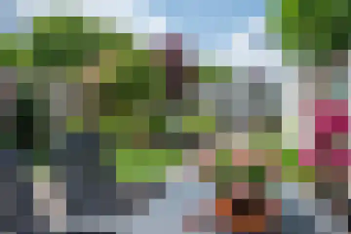 van Gentlaan 45 Son en Breugel thumbnail 37