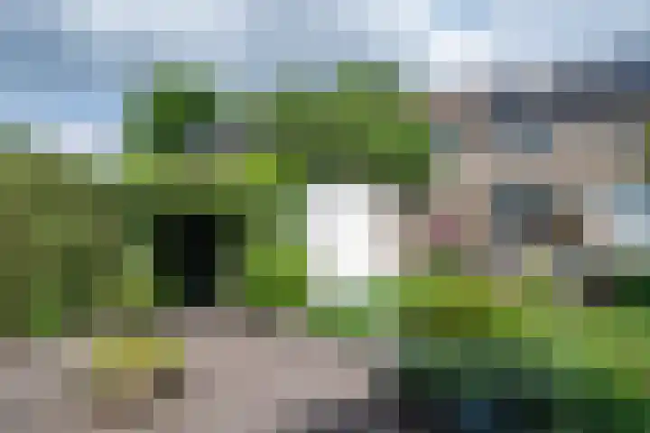 van Gentlaan 45 Son en Breugel thumbnail 39