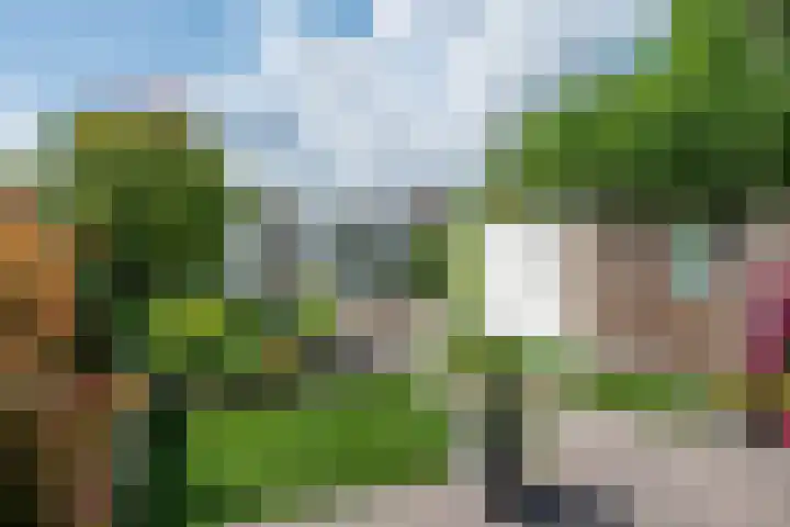 van Gentlaan 45 Son en Breugel thumbnail 4