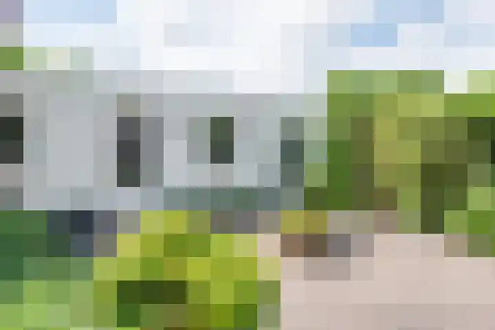 van Gentlaan 45 Son en Breugel thumbnail 40