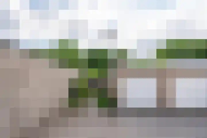 van Gentlaan 45 Son en Breugel thumbnail 43