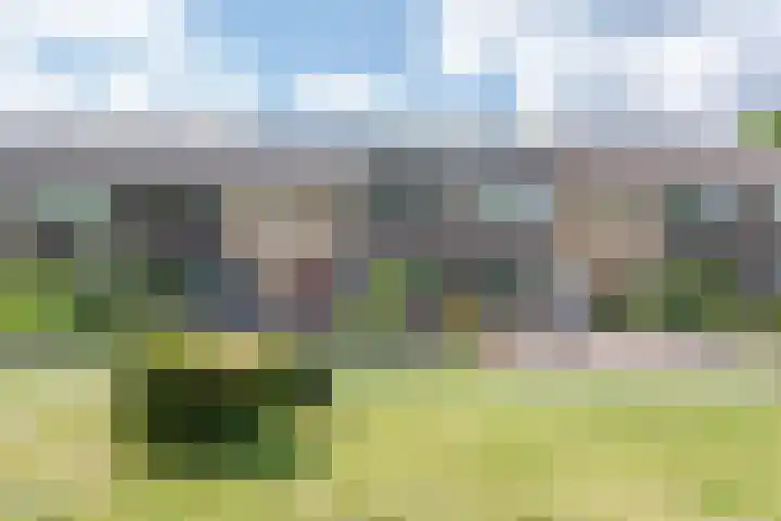 van Gentlaan 45 Son en Breugel thumbnail 45