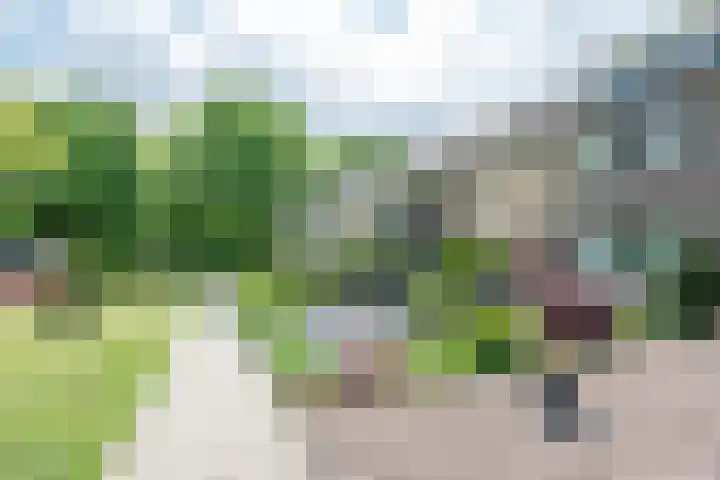 van Gentlaan 45 Son en Breugel thumbnail 46