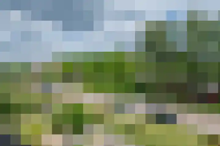 van Gentlaan 45 Son en Breugel thumbnail 49