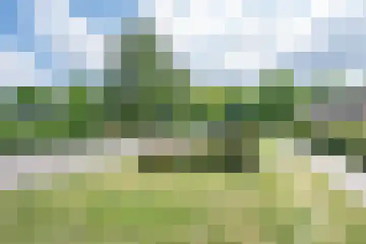van Gentlaan 45 Son en Breugel thumbnail 50