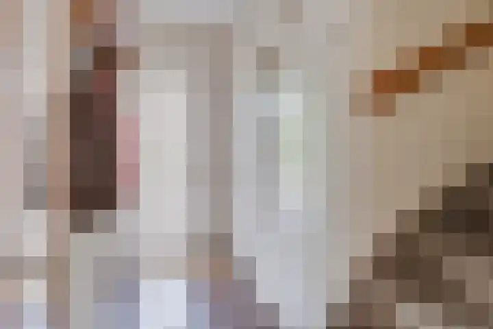 van Gentlaan 45 Son en Breugel thumbnail 7