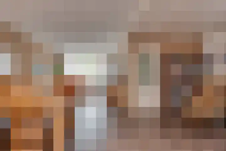 van Gentlaan 45 Son en Breugel thumbnail 9