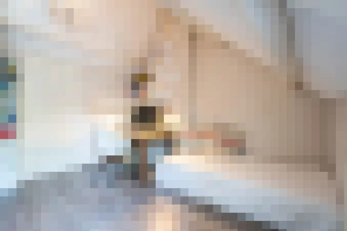 van Gentlaan 7 Breda thumbnail 23