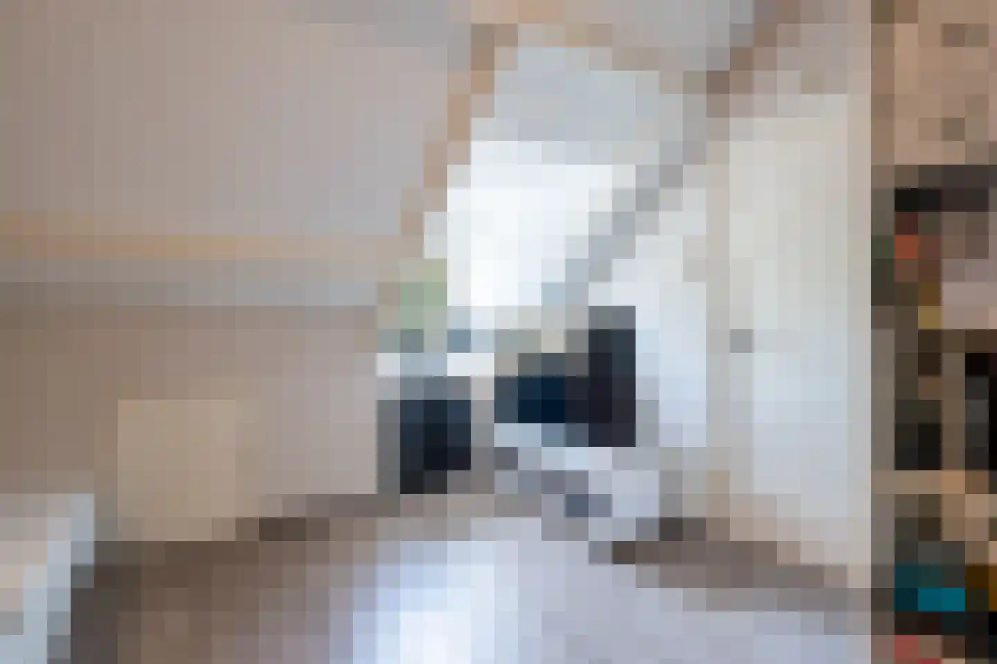 van Gentlaan 7 Breda thumbnail 24