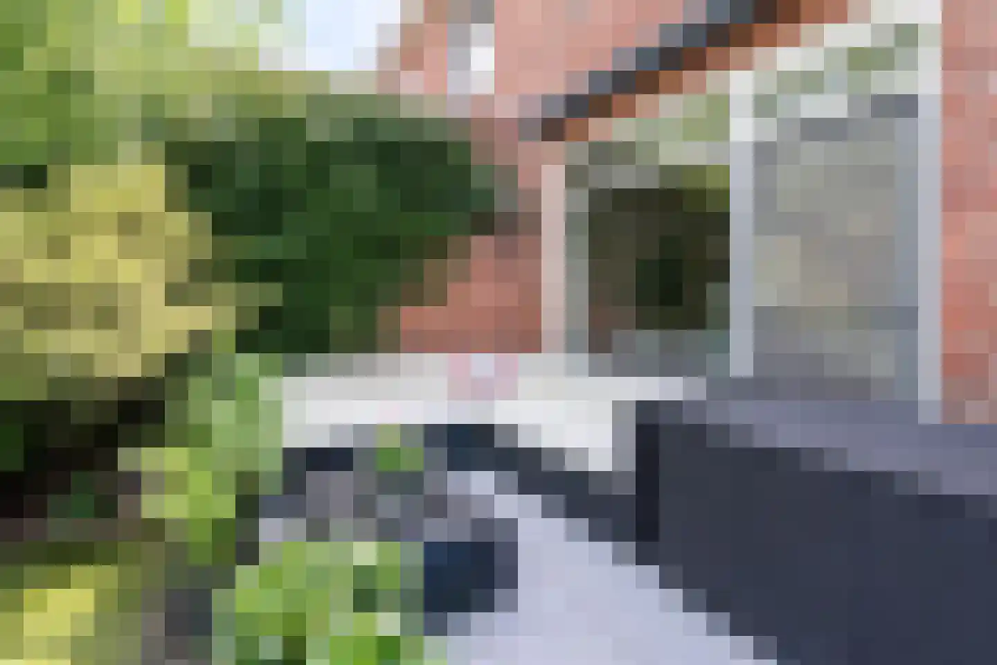 van Gentlaan 7 Breda thumbnail 25