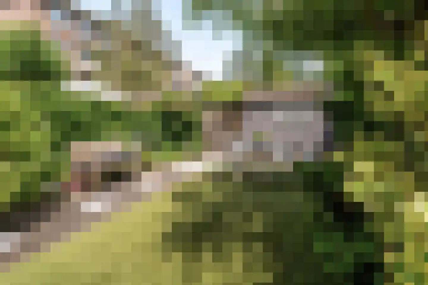 van Gentlaan 7 Breda thumbnail 26