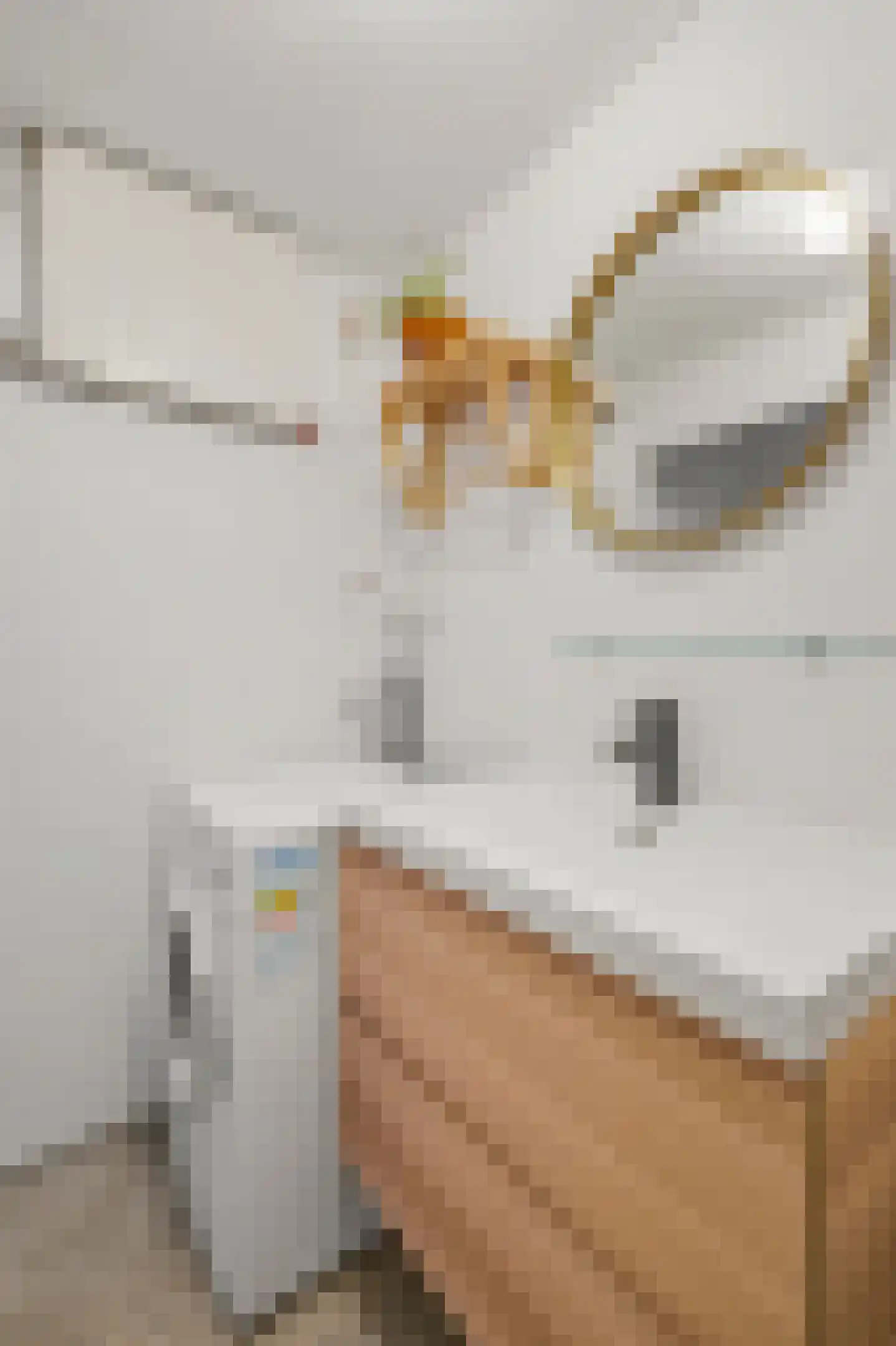 Van Gentstraat 27 1 Amsterdam thumbnail 19