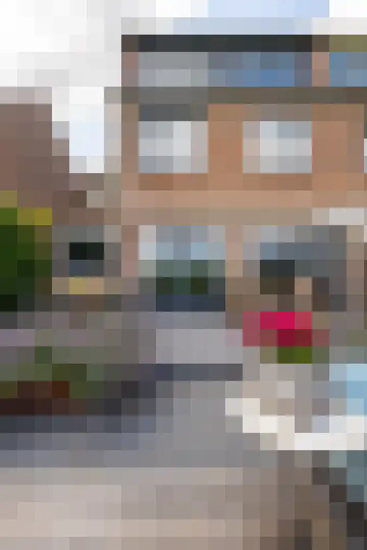 van Gentstraat 27 Goudriaan thumbnail 40