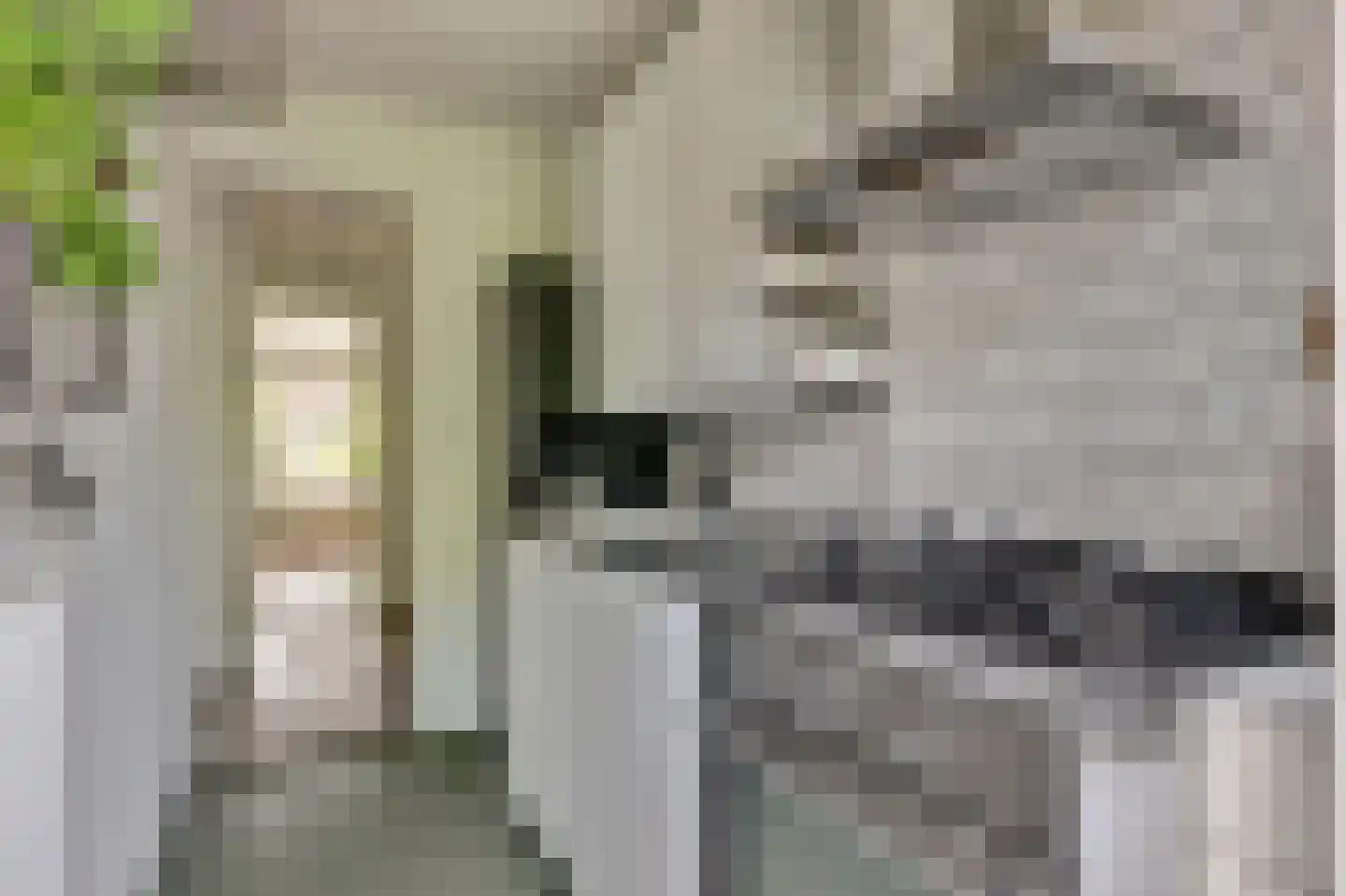 Van Gentstraat 30 2 Amsterdam thumbnail 12
