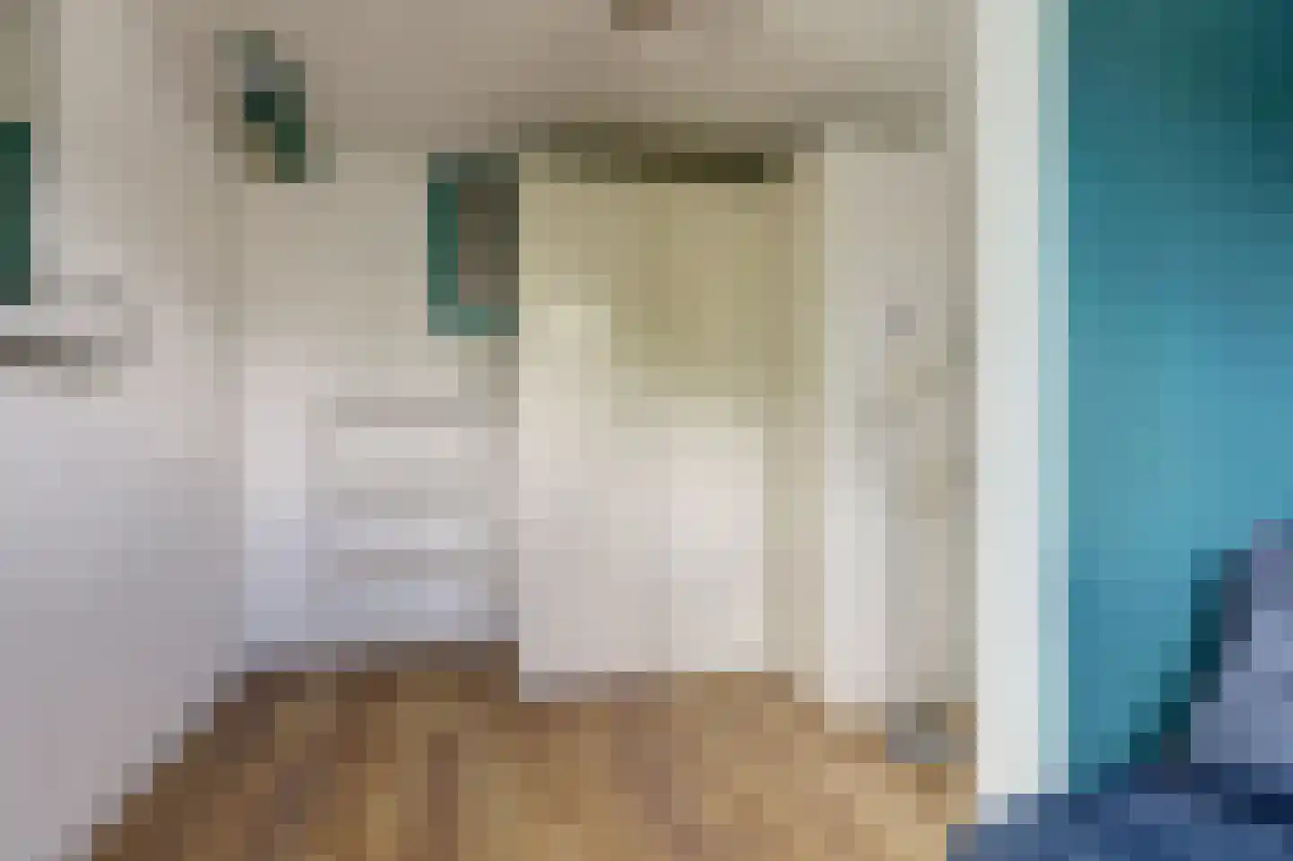Van Gentstraat 30 2 Amsterdam thumbnail 25