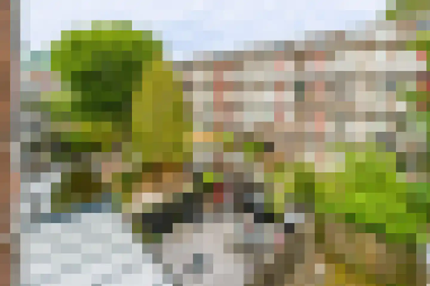 Van Gentstraat 32 2 Amsterdam thumbnail 13