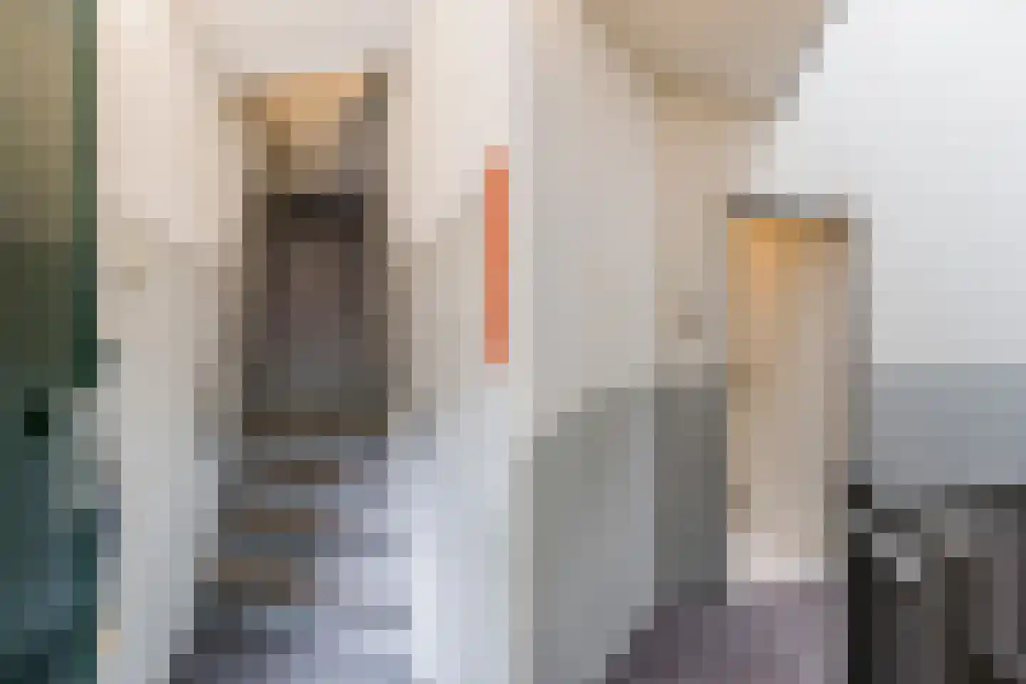 Van Gentstraat 32 2 Amsterdam thumbnail 23