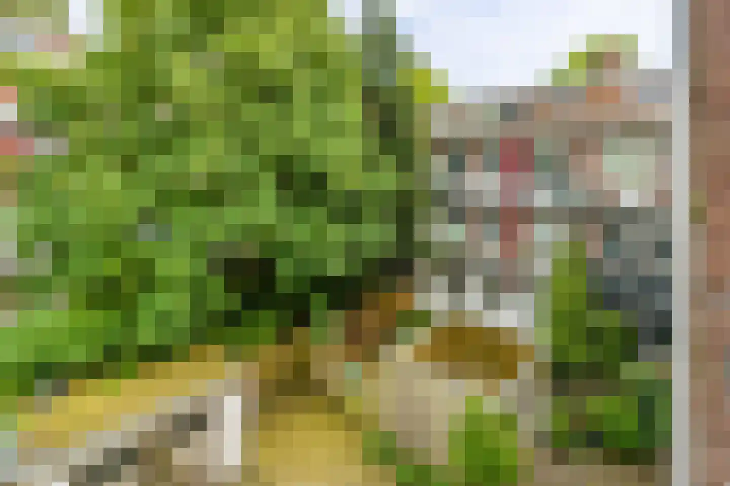 Van Gentstraat 32 2 Amsterdam thumbnail 31