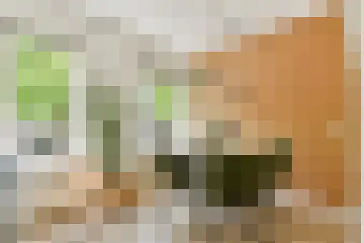 Van Gentstraat 36 H Amsterdam thumbnail 5