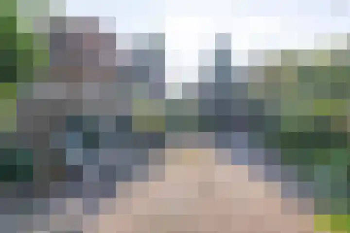van Gentstraat 9 Veghel thumbnail 12