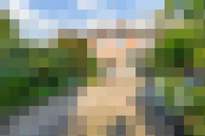 van Gentstraat 9 Veghel thumbnail 13