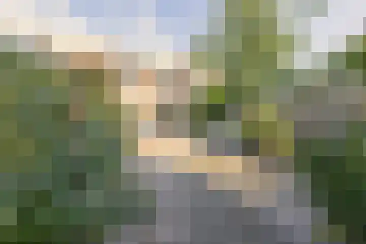 van Gentstraat 9 Veghel thumbnail 14