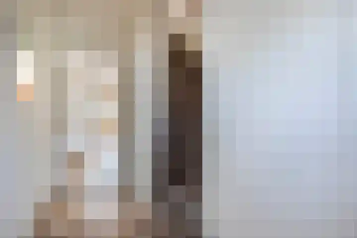 van Gentstraat 9 Veghel thumbnail 17