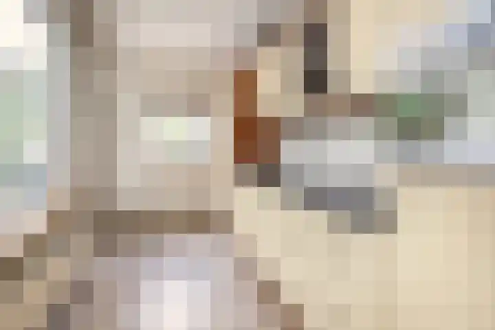 van Gentstraat 9 Veghel thumbnail 9