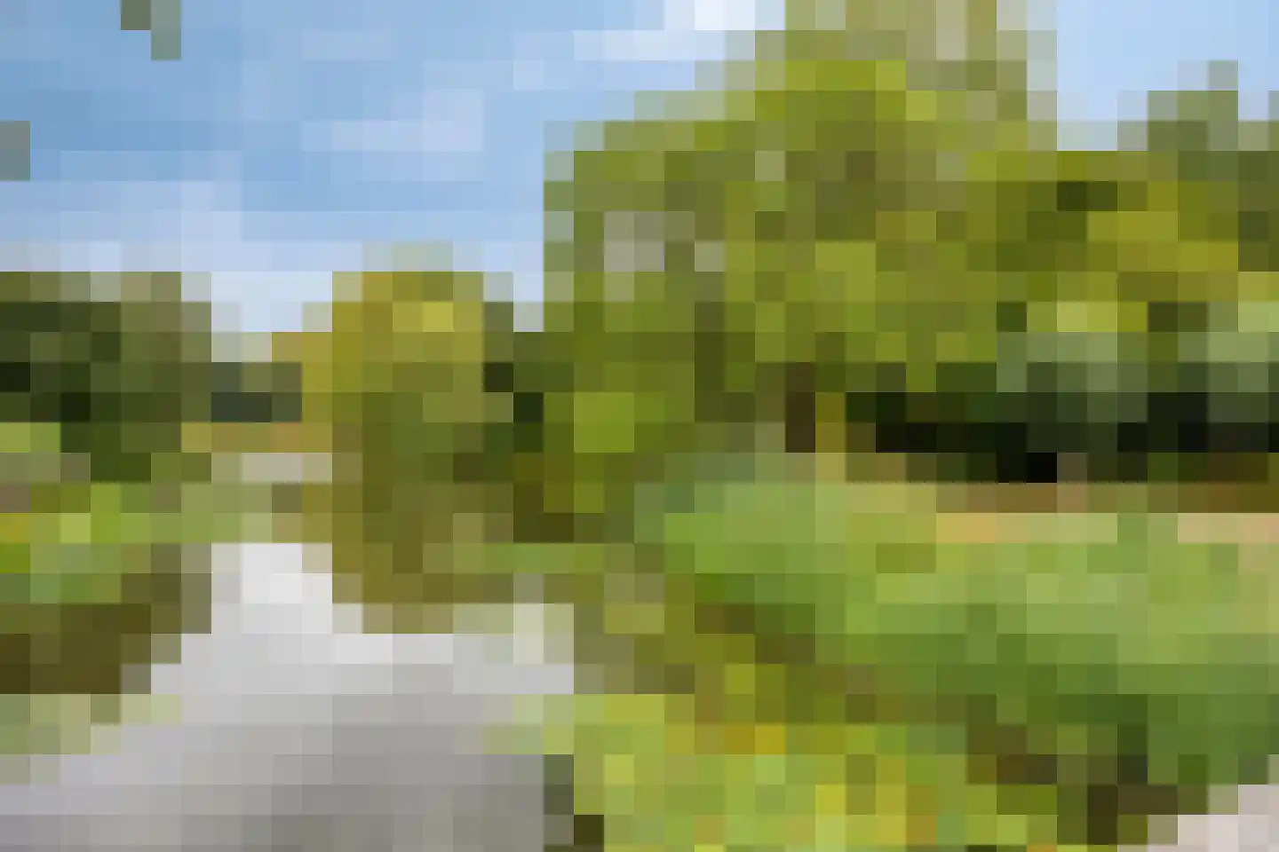 Van Gentswei 44 Arnhem thumbnail 13