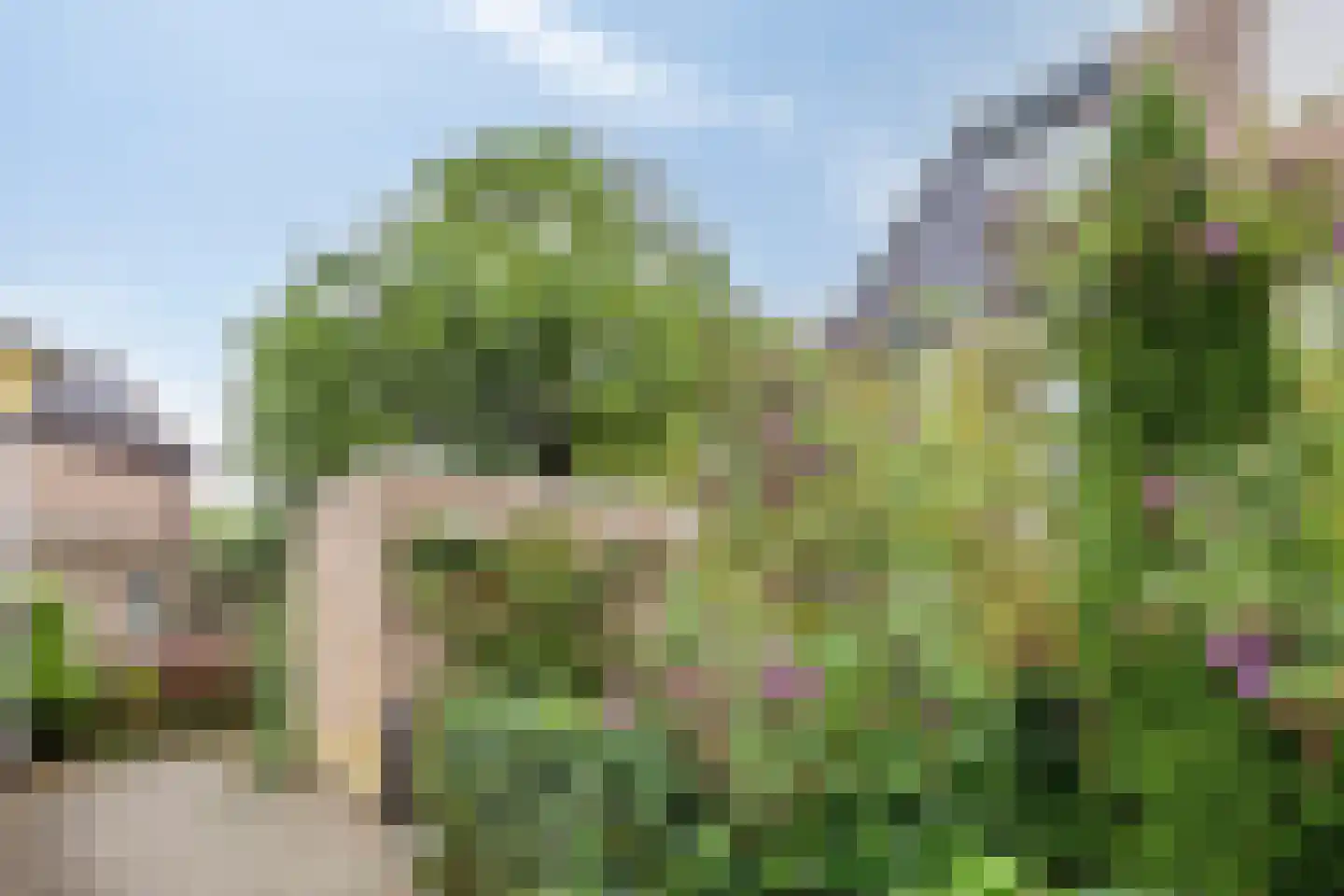 Van Gentswei 44 Arnhem thumbnail 14