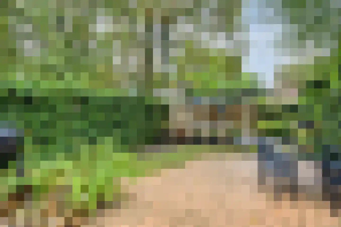 Van Gentswei 44 Arnhem thumbnail 29