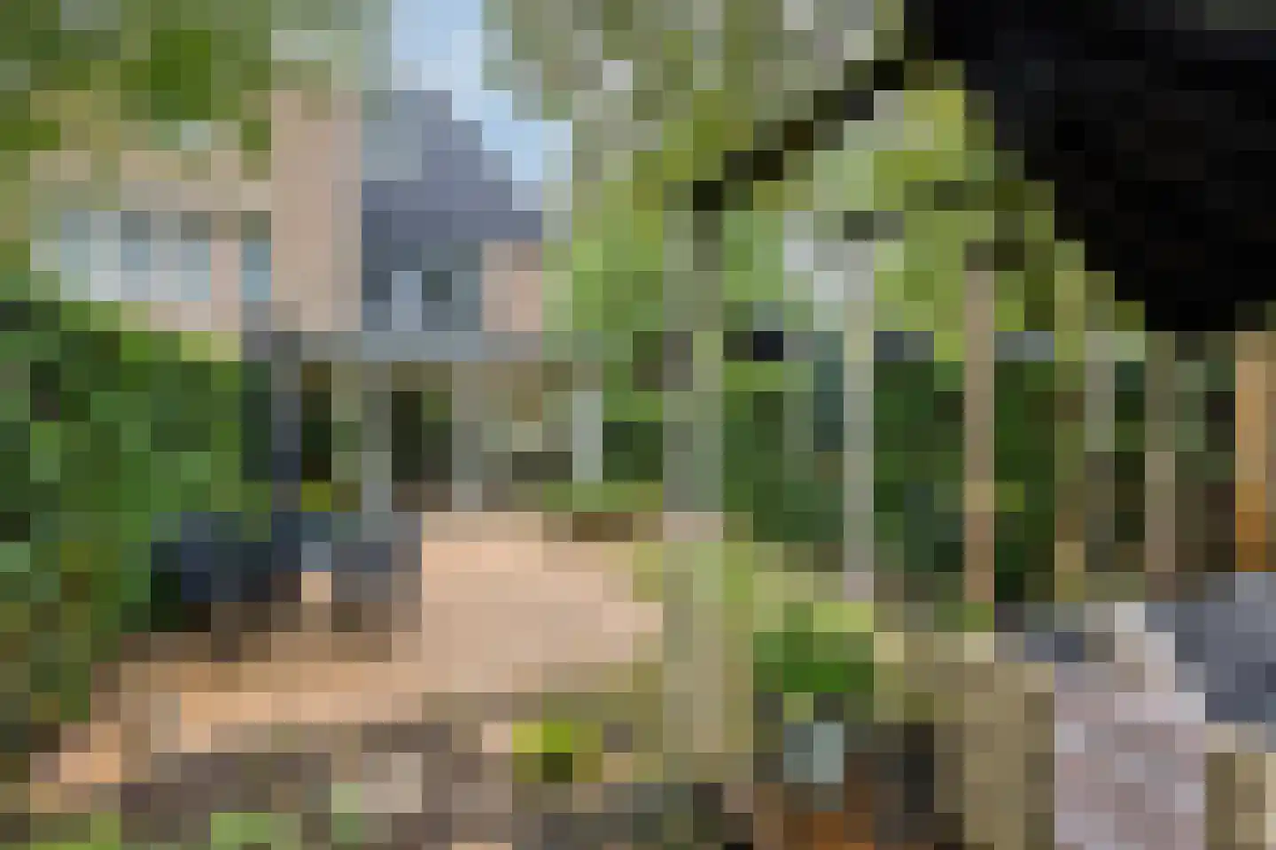 Van Gentswei 44 Arnhem thumbnail 31