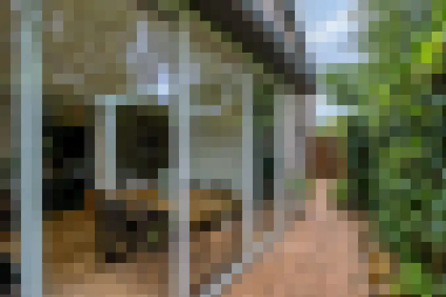 Van Gentswei 44 Arnhem thumbnail 33