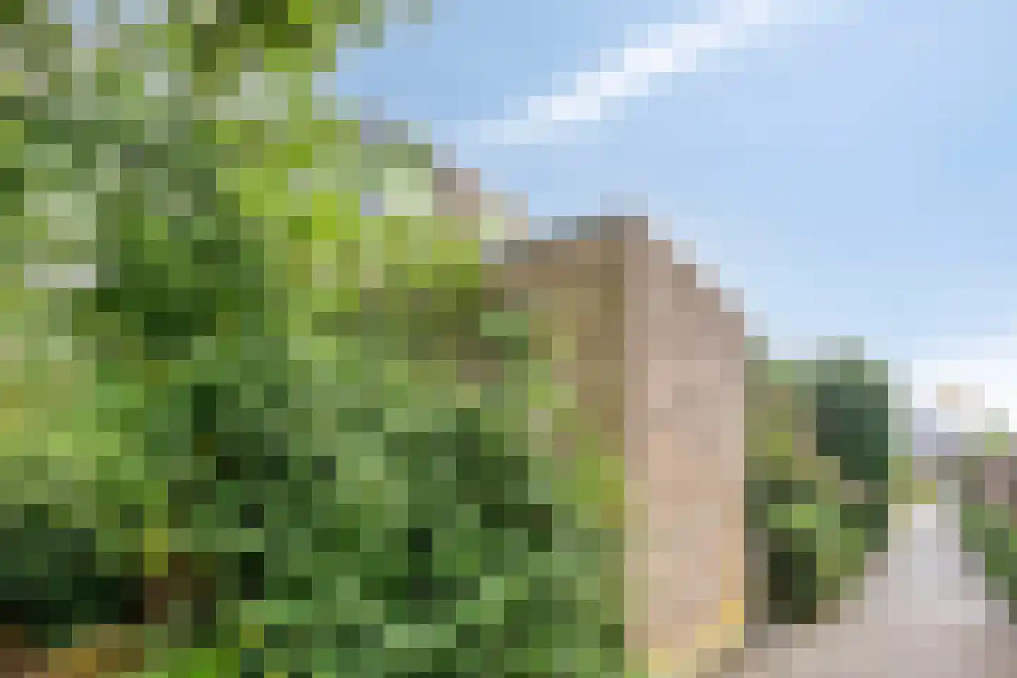 Van Gentswei 44 Arnhem thumbnail 53