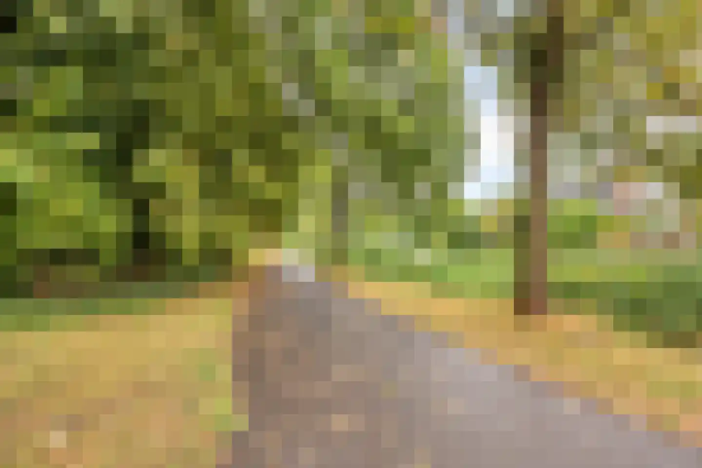 Van Gentswei 44 Arnhem thumbnail 57