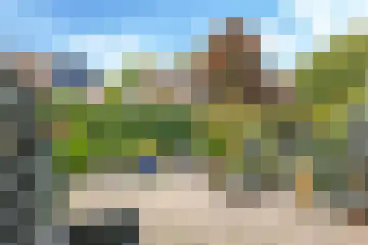 Van Gentswei 5 Arnhem thumbnail 50