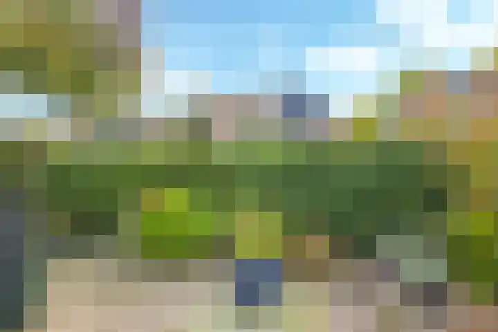 Van Gentswei 5 Arnhem thumbnail 51