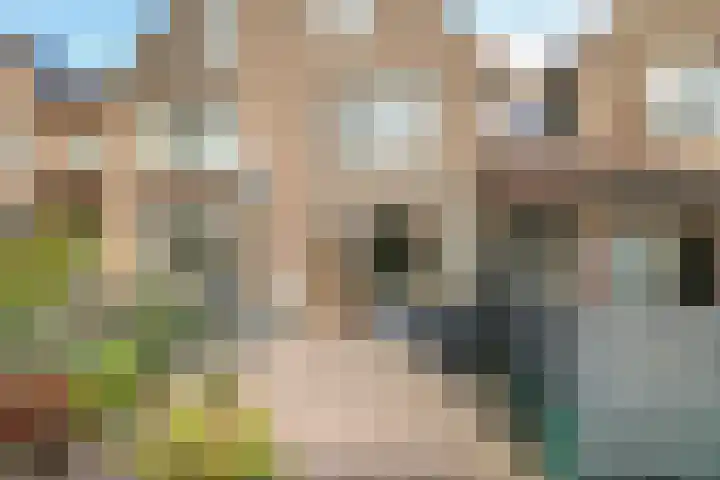 Van Gentswei 5 Arnhem thumbnail 52