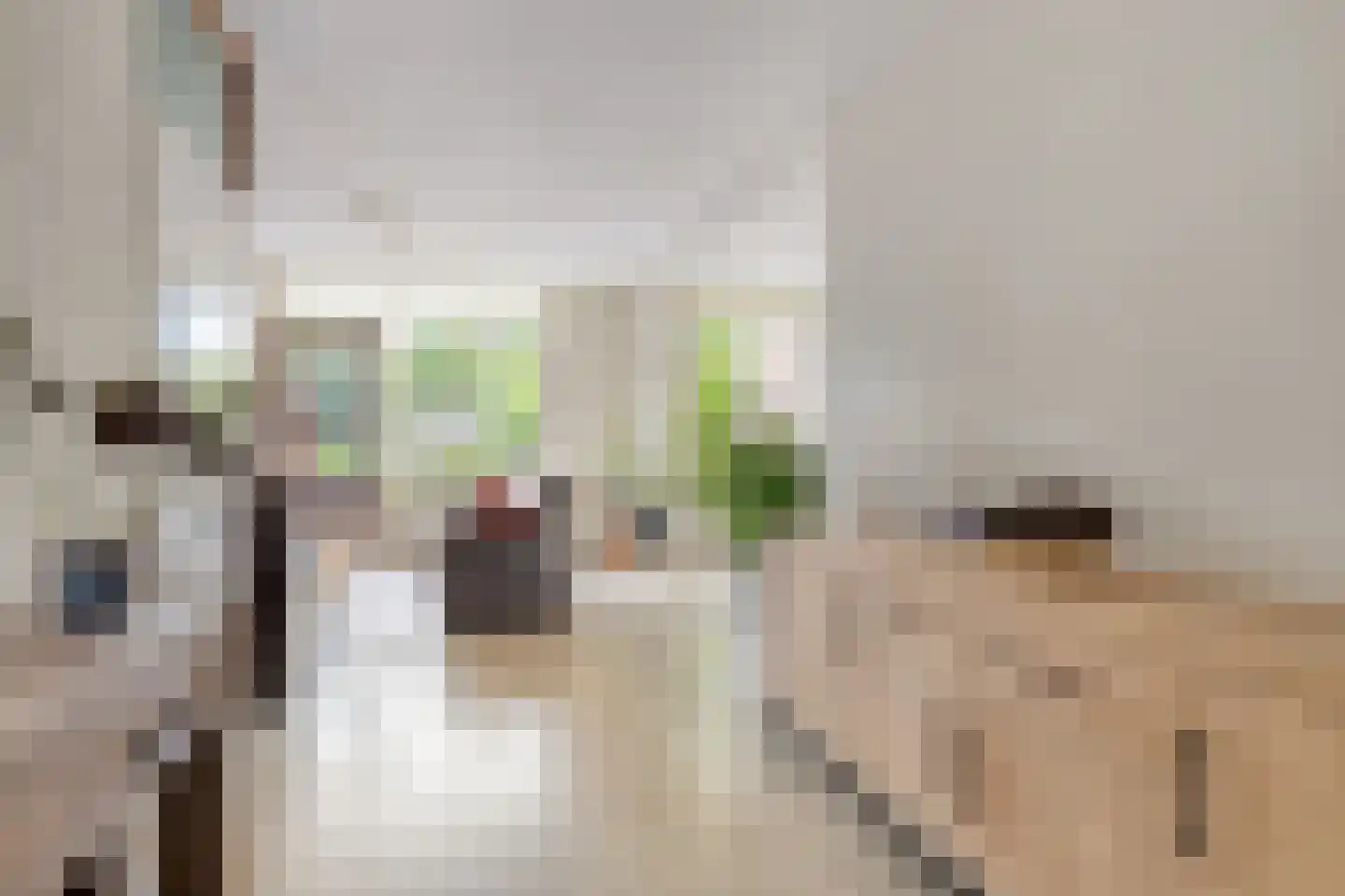 Van Gentswei 6 Arnhem thumbnail 10