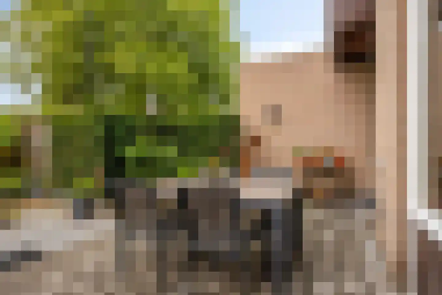 Van Gentswei 6 Arnhem thumbnail 10