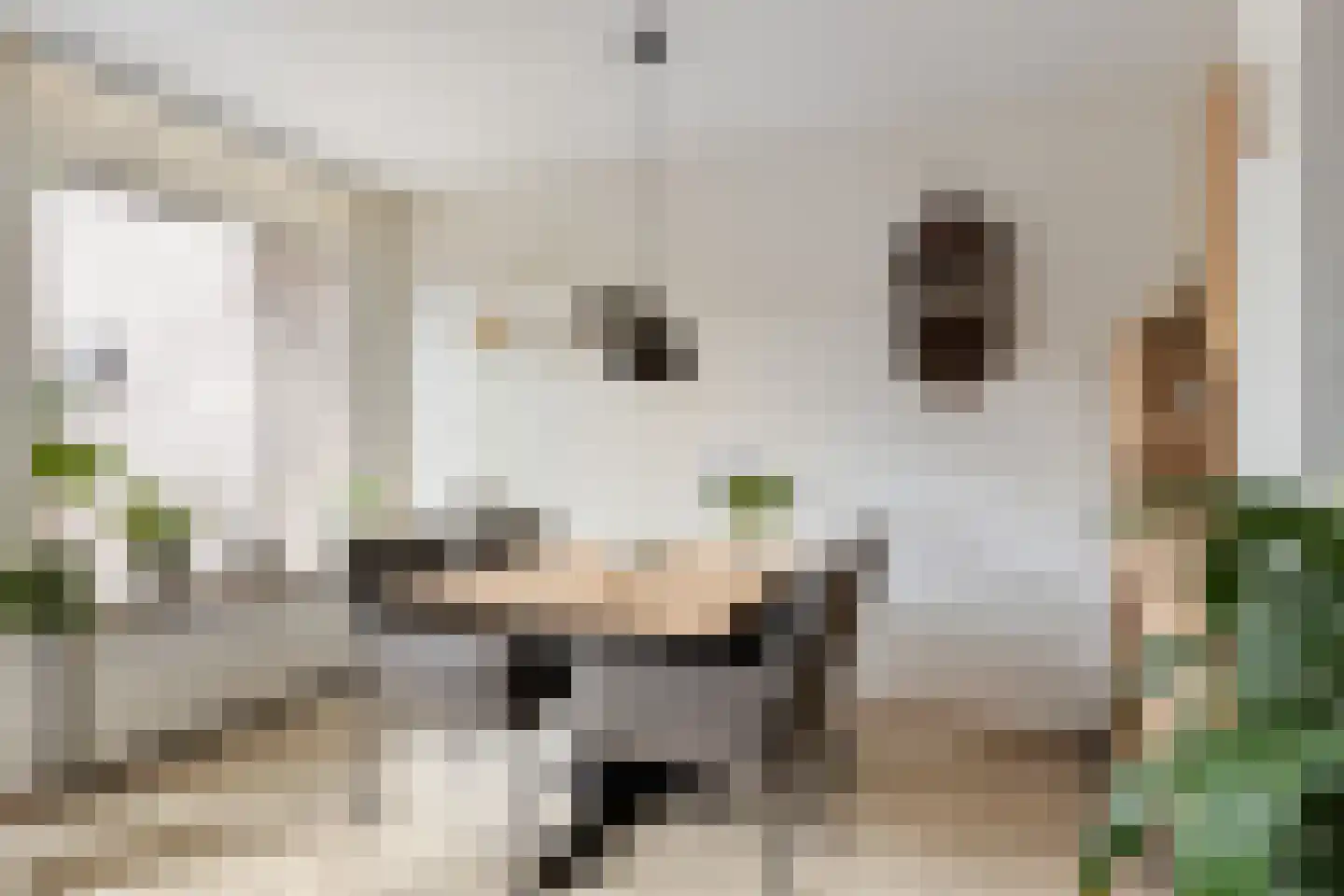 Van Gentswei 6 Arnhem thumbnail 11