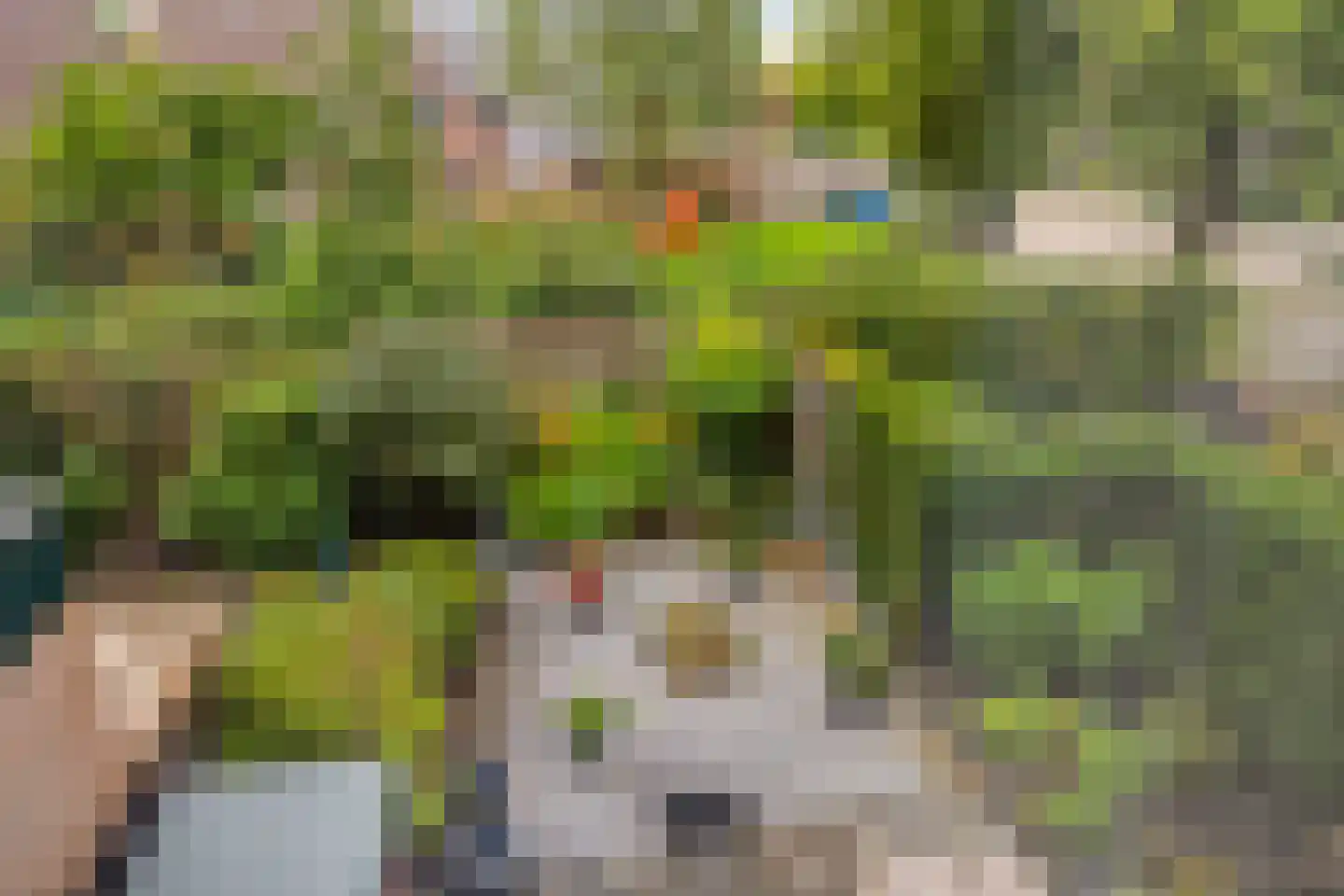 Van Gentswei 6 Arnhem thumbnail 12