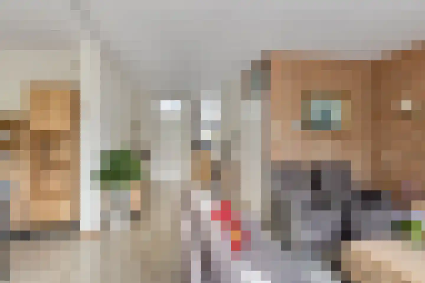 Van Gentswei 6 Arnhem thumbnail 13