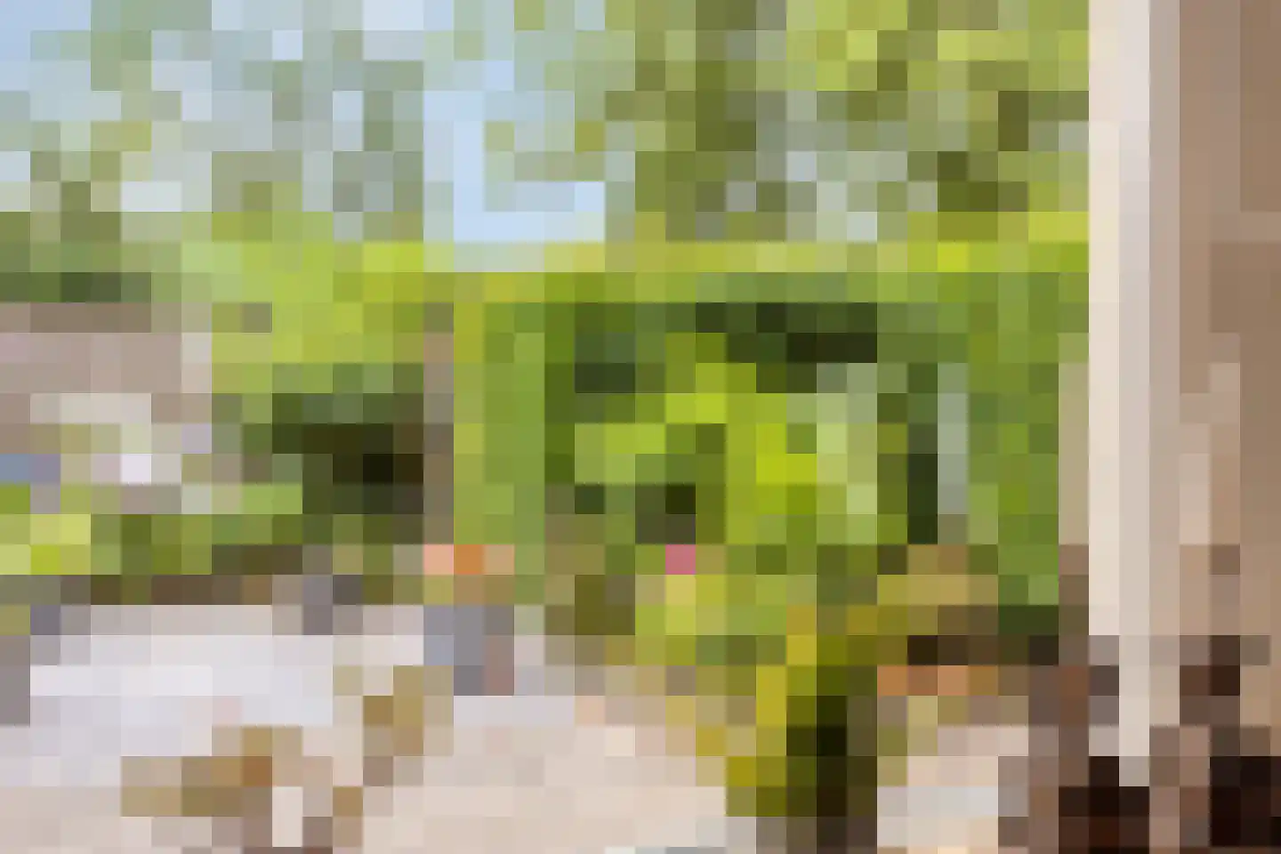 Van Gentswei 6 Arnhem thumbnail 18