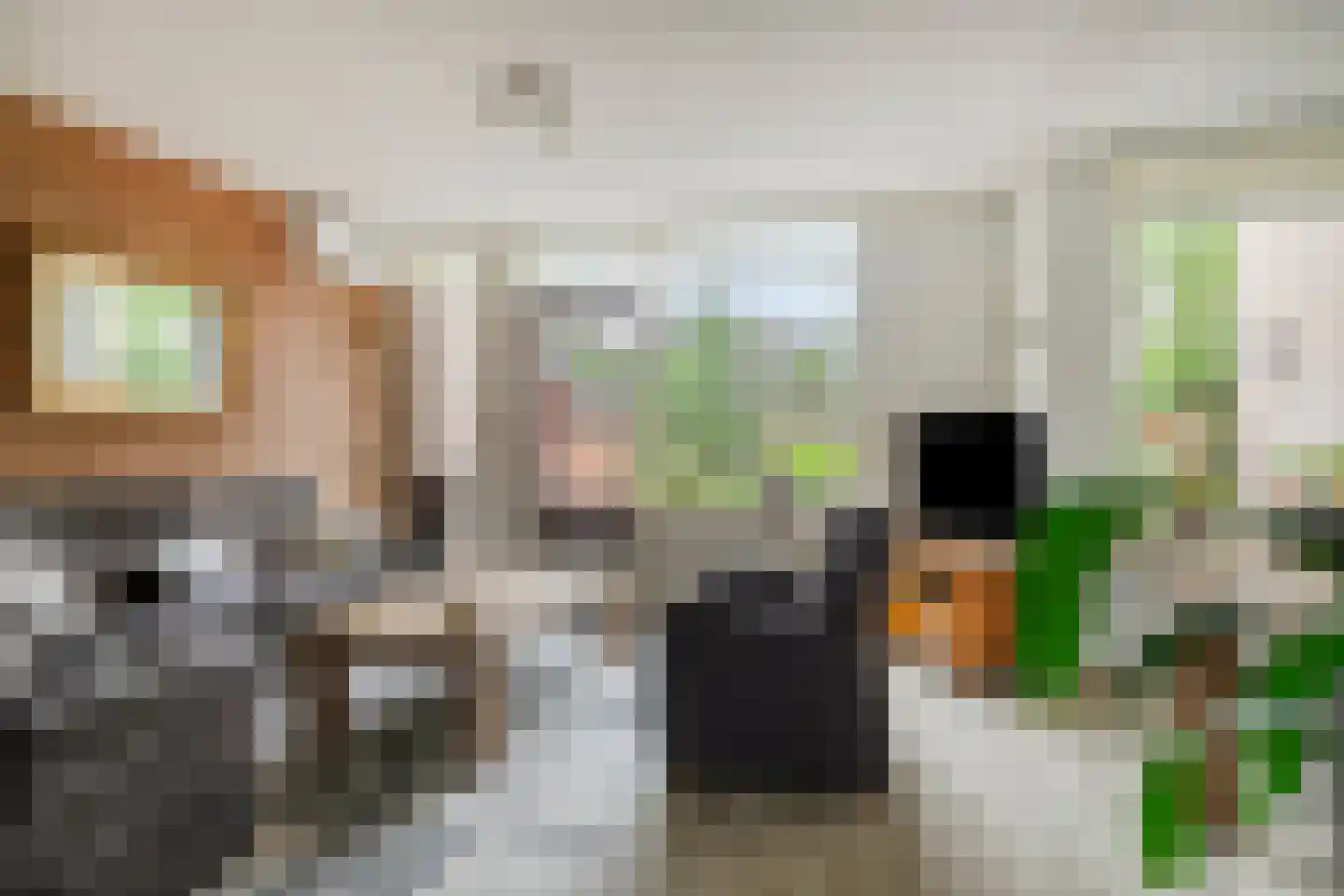 Van Gentswei 6 Arnhem thumbnail 18