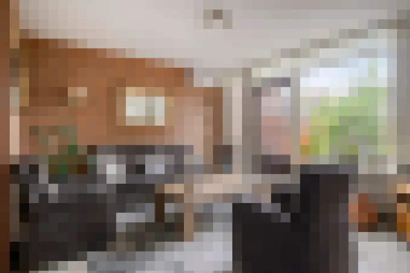 Van Gentswei 6 Arnhem thumbnail 19