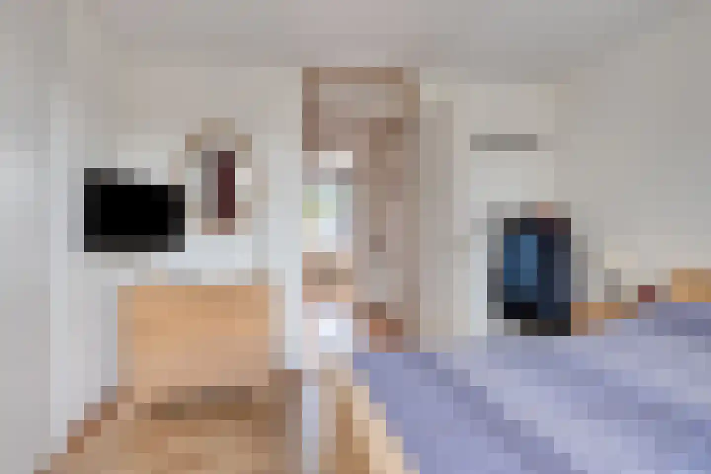 Van Gentswei 6 Arnhem thumbnail 23
