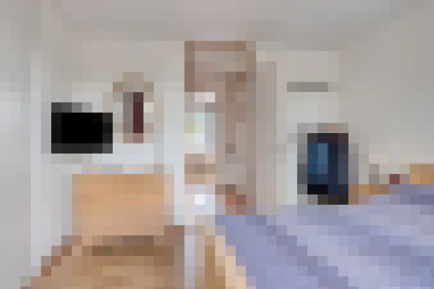 Van Gentswei 6 Arnhem thumbnail 23