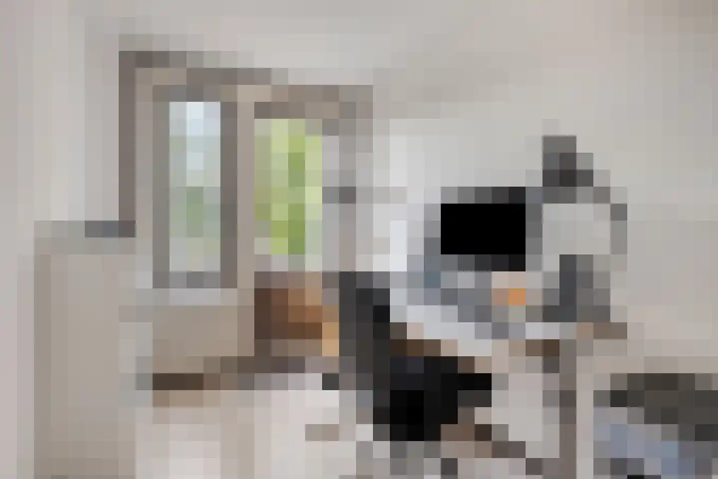 Van Gentswei 6 Arnhem thumbnail 27