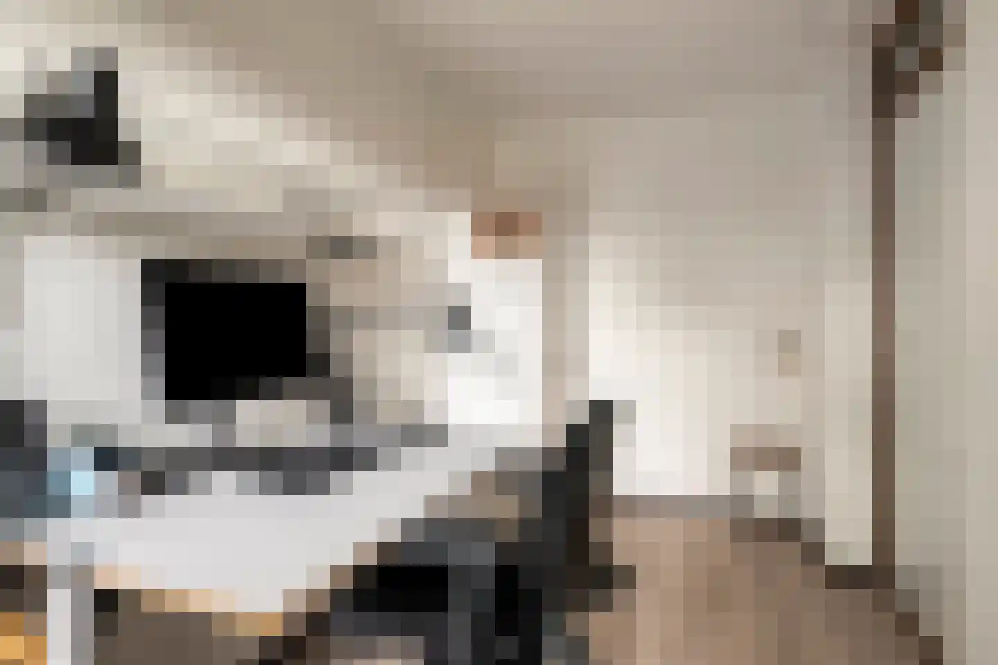 Van Gentswei 6 Arnhem thumbnail 30